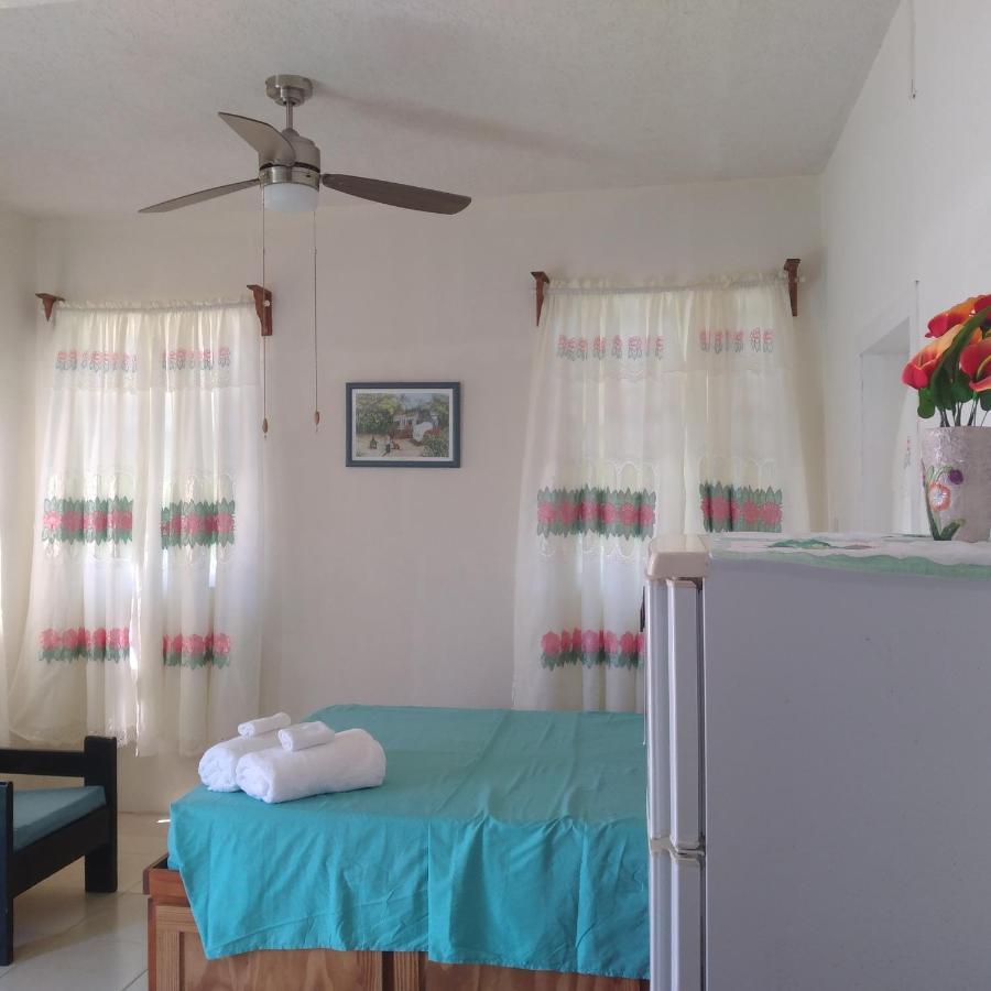 Edtricias Apartments ไครสต์เชิร์ช ภายนอก รูปภาพ