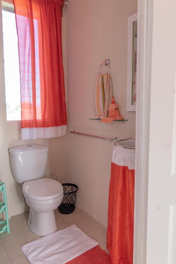 Edtricias Apartments ไครสต์เชิร์ช ภายนอก รูปภาพ