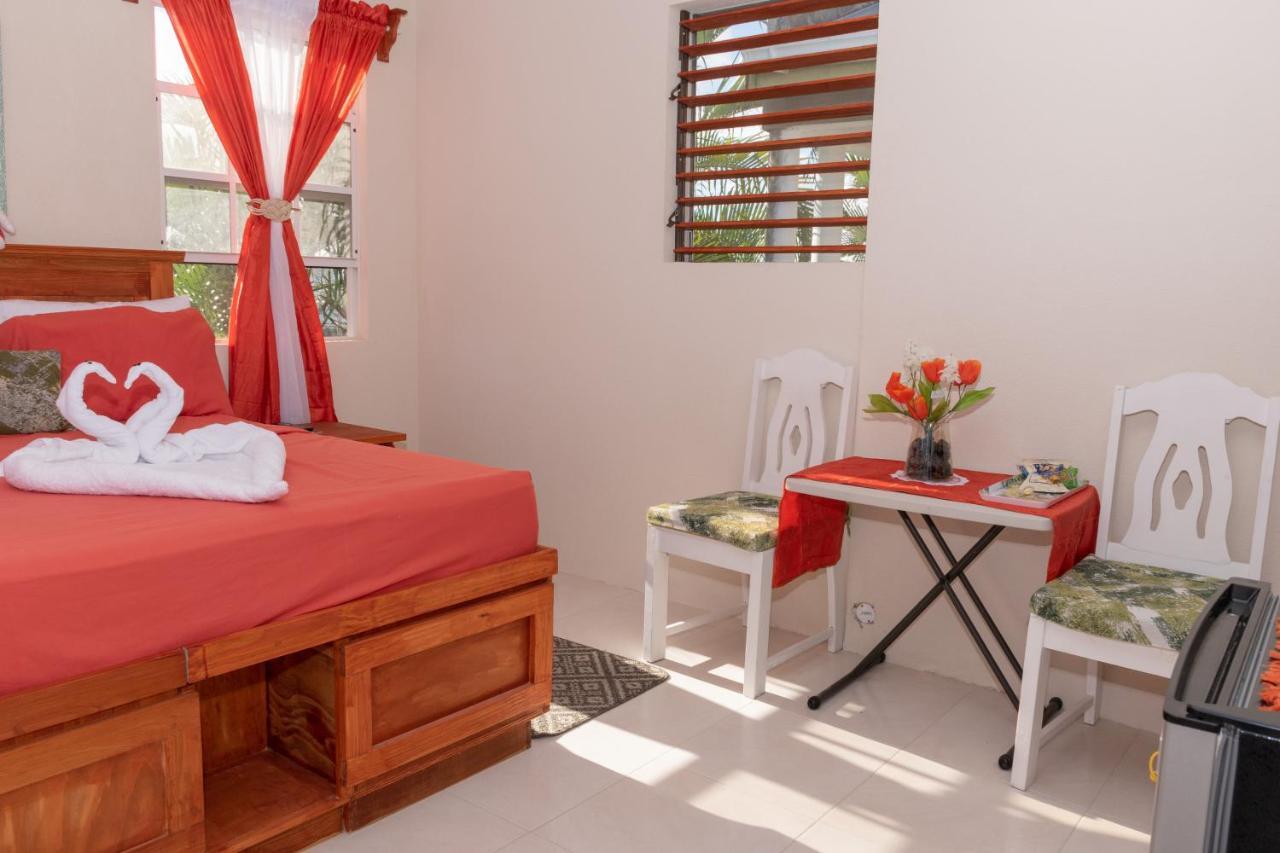 Edtricias Apartments ไครสต์เชิร์ช ภายนอก รูปภาพ